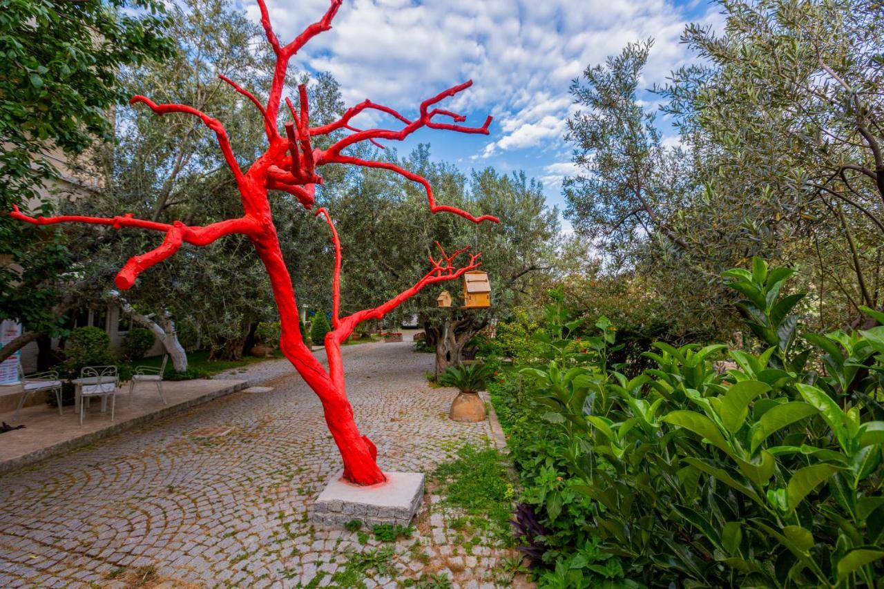 במוטל קוצ'וקויו Gurel Garden House מראה חיצוני תמונה